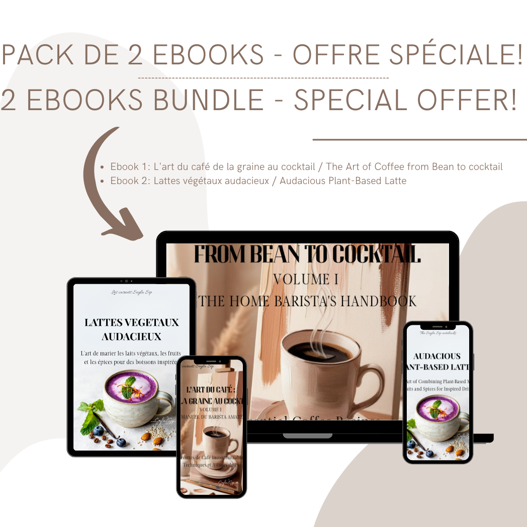 Pack de 2 Ebooks - Offre Spéciale / 2 Ebooks Bundle - Special Offer